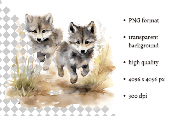 Download Watercolor Wolf Illustration - Wolf illustration Collection