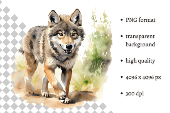Download Watercolor Wolf Illustration - Wolf illustration Collection
