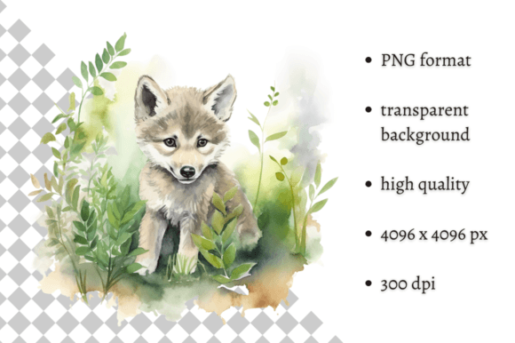 Download Watercolor Wolf Illustration - Wolf illustration Collection