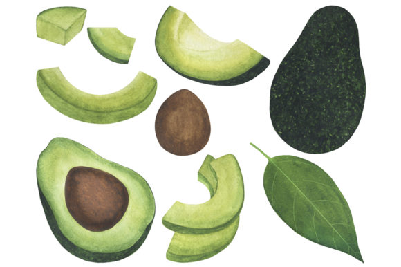 Download Set Avocado Watercolor Food Illustration - Watercolor food Collection