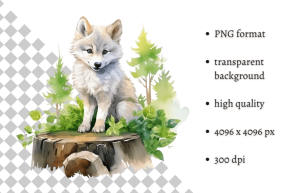 Download Watercolor Wolf Illustration - Wolf illustration Collection