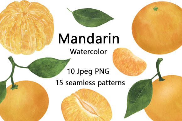 Download Set of Mandarin Watercolor Food Illustration - Watercolor food Collection