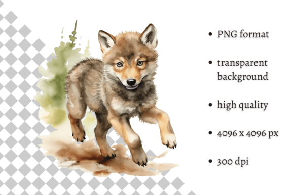 Download Cute Watercolor Baby Wolf Illustration - Wolf illustration Collection